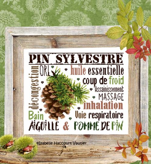 Aiguille & Pomme de pin - Fiche Point de Croix - Isabelle Vautier