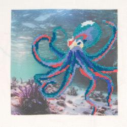 Poulpe - Kit Point de Croix - DMC