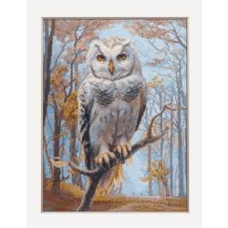 Chouette de Wildwood - Kit point de croix - Aine
