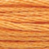 Fil mouliné ANCHOR coloris 1002